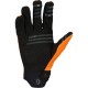 GANTS SCOTT NEORIDE ORANGE