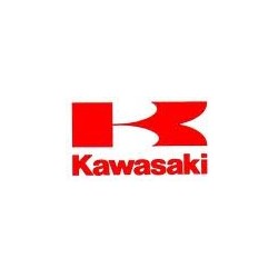 Kawasaki