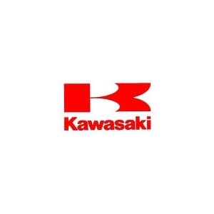 Kawasaki